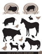 two labels and 12 silhouettes of animals two labels and 12 silhouettes of animals