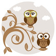 Cute owls couple on the tree Cute owls couple on the tree