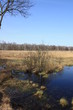 Foto: Moor im Frühling Moor im Frühling