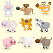 Domestic animals set