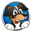 Colored Dog Button