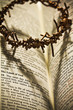 The Holy Bible and the Crown of Thorns