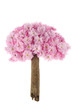 kirschbaum