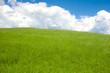 green grass and blue sky green grass and blue sky