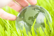 Glass earth in grass with hand Glass earth in grass with hand