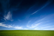 green grass and blue sky green grass and blue sky
