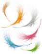 Piuma