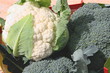 cosecha de coliflor y brocoli cosecha de coliflor y brocoli