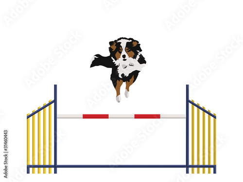 Vector: Every Obstacle Is An Opportunity Every Obstacle Is An Opportunity