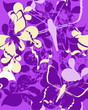seanless pattern