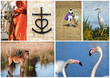 Camargue