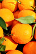 Sicilian red oranges