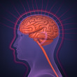 Biofield and human brain