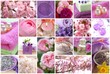 Flowers and wellness