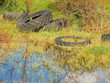 Photo: pollution pollution