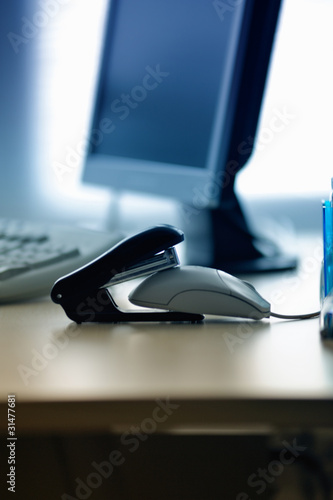 Photo: Stapler eating mouse Stapler eating mouse