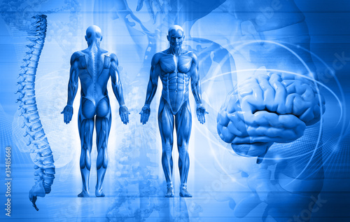 Illustration: human body human body