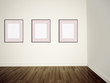 modern art gallery Empty pictures on a wall