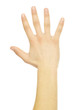 hand