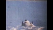 Snowmobiling Jumps (1975 Vintage 8mm film)