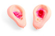 Close-up view of two caucasian artificial ears on white Close-up view of two caucasian artificial ears on white