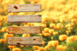 Wood Sign With Yellow Flowers Background Wood Sign With Yellow Flowers Background