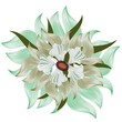 Vettoriale: Vektorblüte Vektorblüte