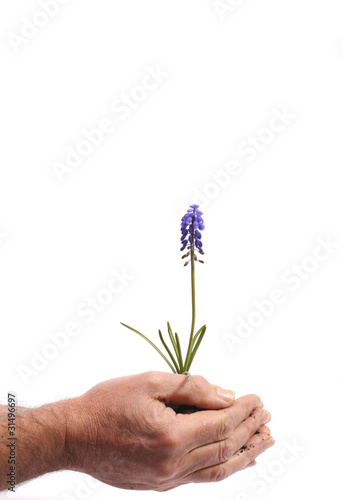 Photo: Safely growing Safely growing