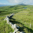 Sheep's Head Peninsula, County Cork, Ireland Sheep's Head Peninsula, County Cork, Ireland