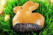 Foto: Osterhase Osterhase