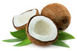 Coconut with leaves