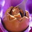 Oeuf chocolat