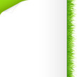 Green Grass And Paper Green Grass And Paper