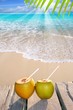 Caribbean paradise beach coconuts cocktail Caribbean paradise beach coconuts cocktail