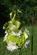 wedding bouquet wedding bouquet