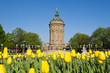 Foto: Wasserturm Mannheim Wasserturm Mannheim