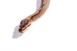 Spider ball python
