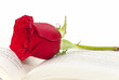 Love Letters
