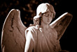 Statue of a young angel in sepia shades