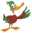 Duck