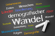 Demografischer Wandel