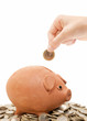 piggy bank savings