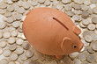 piggy bank savings