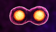 Illustration: Dividing cells Dividing cells