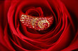 Ring with diamonds in a Rose