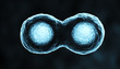 Illustration: Dividing cells blue xray Dividing cells blue xray