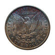 isolated reverse of toned Morgan silver dollar - 1884 O