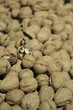 Set Of Many Walnuts With One Cracked, Close Up. Set Of Many Walnuts With One Cracked, Close Up.