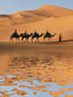 Photo: Camel Caravan in Sahara Desert Camel Caravan in Sahara Desert