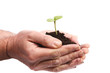 Photo: Growing big Growing big